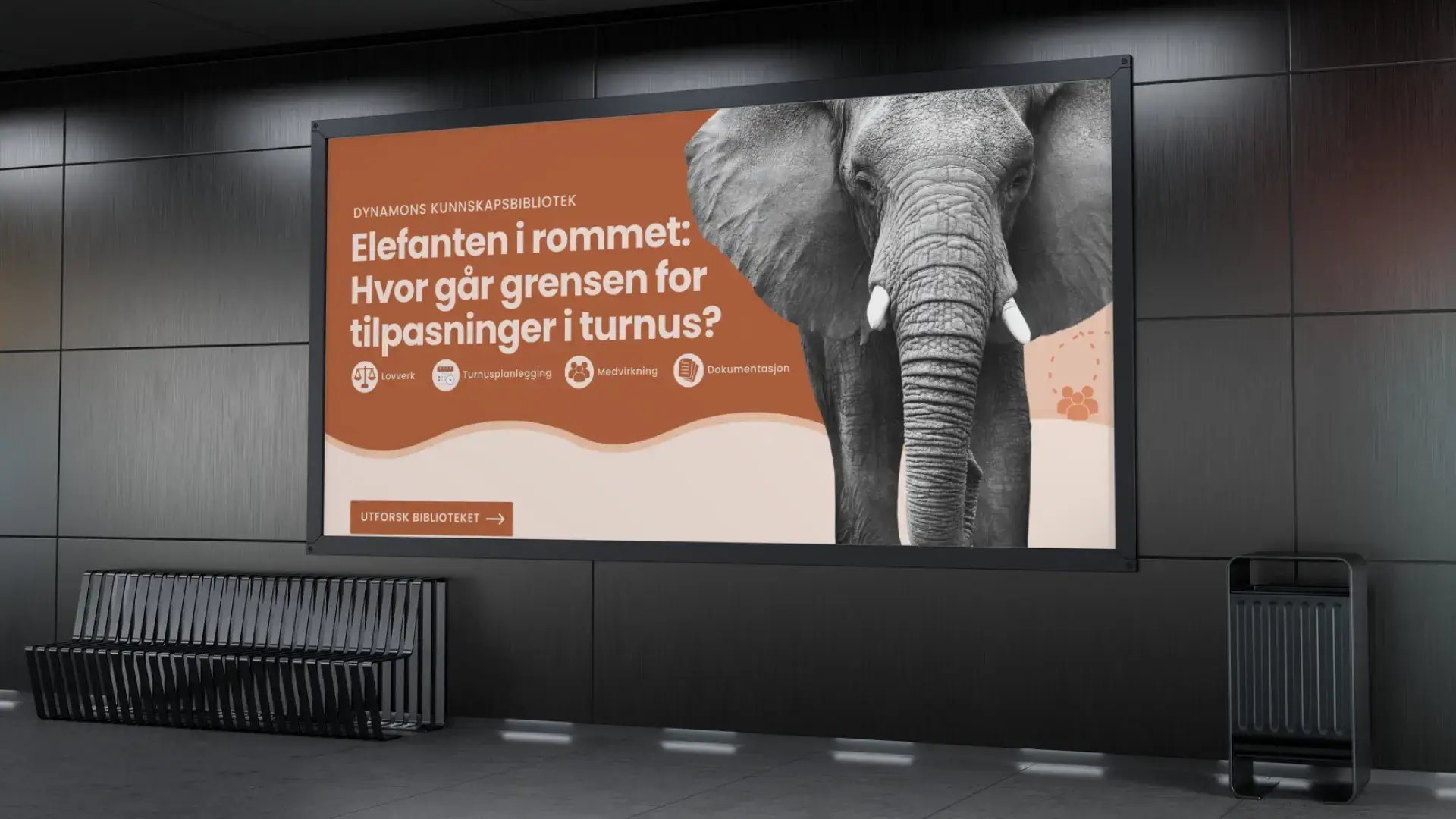 Elefanten i rommet